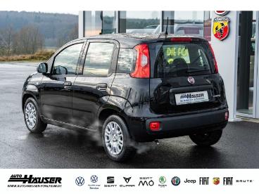 SPOTICAR Fiat Panda My26 Pandina Icon Hybrid 1.0 Gse Tempomat Pdc 5-si Gebraucht - Kleinwagen Benzin  - Pohlheim - 1201249489_4