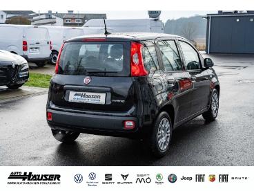 SPOTICAR Fiat Panda My26 Pandina Icon Hybrid 1.0 Gse Tempomat Pdc 5-si Gebraucht - Kleinwagen Benzin  - Pohlheim - 1201249489_5