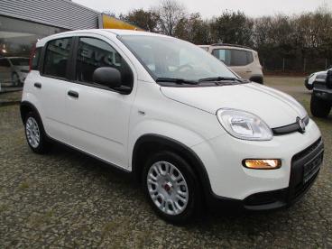 SPOTICAR Fiat Panda 1.0 Gse Mild Hybrid Gebraucht - Kleinwagen Benzin Weiß - Lingen - 1201281333_3