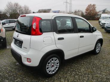 SPOTICAR Fiat Panda 1.0 Gse Mild Hybrid Gebraucht - Kleinwagen Benzin Weiß - Lingen - 1201281333_4