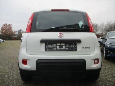 SPOTICAR Fiat Panda 1.0 Gse Mild Hybrid Gebraucht - Kleinwagen Benzin Weiß - Lingen - 1201281333_5