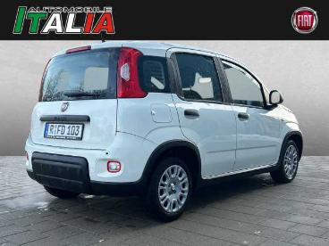 SPOTICAR Fiat Panda 1.0 Gse Hybrid Gebraucht - Kleinwagen Benzin Weiß - Regensburg - 1201281960_2