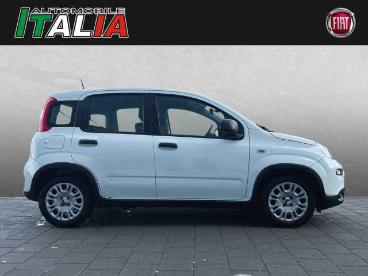 SPOTICAR Fiat Panda 1.0 Gse Hybrid Gebraucht - Kleinwagen Benzin Weiß - Regensburg - 1201281960_3