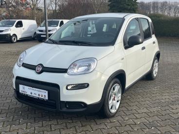 SPOTICAR Fiat Panda Base / Radio, Bluetooth, Klima, Elektr. Fh Vorn, Z Gebraucht - Kleinwagen Hybrid Weiß - Chemnitz - 1201282701_1