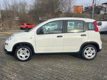SPOTICAR Fiat Panda Base / Radio, Bluetooth, Klima, Elektr. Fh Vorn, Z Gebraucht - Kleinwagen Hybrid Weiß - Chemnitz - 1201282701_2