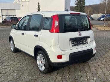 SPOTICAR Fiat Panda Base / Radio, Bluetooth, Klima, Elektr. Fh Vorn, Z Gebraucht - Kleinwagen Hybrid Weiß - Chemnitz - 1201282701_3