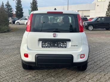 SPOTICAR Fiat Panda Base / Radio, Bluetooth, Klima, Elektr. Fh Vorn, Z Gebraucht - Kleinwagen Hybrid Weiß - Chemnitz - 1201282701_4