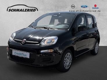 SPOTICAR Fiat Panda Base Dab Spurhalteass. Verkehrszeichenerk. Notbrem Gebraucht - Kleinwagen Hybrid Schwarz - Bremerhaven - 1201293094_1