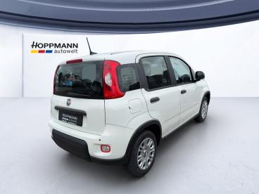 SPOTICAR Fiat Panda Pop 1.0*klima*pdc*radio*bluetooth* Cross Gebraucht - Kleinwagen Benzin Weiß - Gummersbach - 1201317855_4