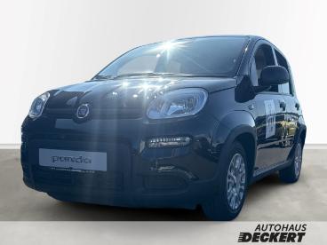 SPOTICAR Fiat Panda 1.0 Mild Hybrid Eu6e, City Paket, Bluetooth, Pdc Gebraucht - Kleinwagen Benzin Schwarz - Homburg - 1201322601_1