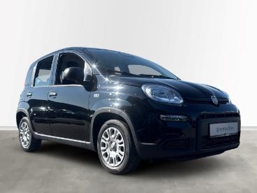 SPOTICAR Fiat Panda 1.0 Mild Hybrid Eu6e, City Paket, Bluetooth, Pdc Gebraucht - Kleinwagen Benzin Schwarz - Homburg - 1201322601_3