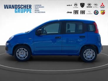 SPOTICAR Fiat Panda 1.0 Pandina Pop Pdc+spurh+facelift+klima Gebraucht - Kleinwagen Benzin Blau - Oldenburg - 1201352552_5