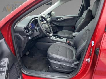 SPOTICAR Ford Kuga Fhev Titanium X *acc*kamera*navi*led*w-paket Gebraucht - Suv   - Bamberg - 1201204660_5