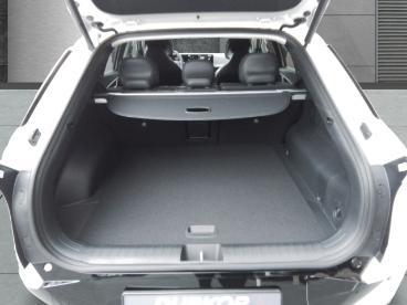 SPOTICAR Kia Ev6 Pe Earth 84kw/h Comf Assist Drive-pa Hud Wp Gebraucht - Suv Elektro  - Berlin - 1201248606_5