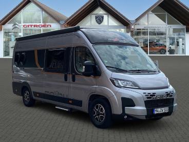SPOTICAR Malibu Van Charming Van Charming Gebraucht - Wohnmobil Diesel Grau - Altmittweida - 1201307654_4
