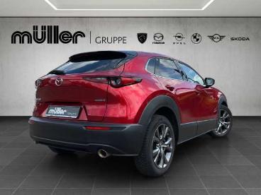 SPOTICAR Mazda Cx-30 X 186 Ps 6gs Selection A18-b Bos Des-p Act-p Gebraucht - Suv Benzin  - Losheim Am See - 1201157346_2