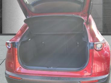 SPOTICAR Mazda Cx-30 Selection 2wd Skyactiv-g M Hybrid Hud Navi Soundsy Gebraucht - Suv Benzin  - Hamburg - 1201202933_5