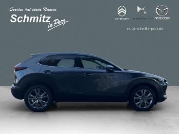 SPOTICAR Mazda Cx-30 Exclusive-line Matrix-led 360°-kam. Bose Gebraucht - Suv Benzin Grau - Köln - 1201269326_5