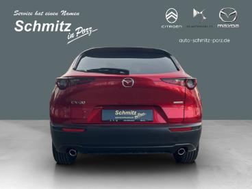 SPOTICAR Mazda Cx-30 Homura Hud Navi Led Acc El. Heckklappe Apple Carpl Gebraucht - Suv Benzin Rot - Köln - 1201269336_4