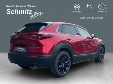 SPOTICAR Mazda Cx-30 Homura Hud Navi Led Acc El. Heckklappe Apple Carpl Gebraucht - Suv Benzin Rot - Köln - 1201269336_5