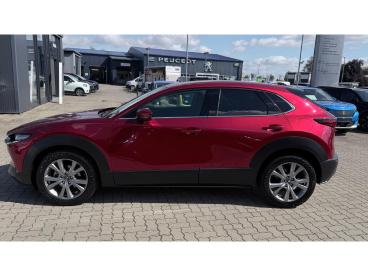 SPOTICAR Mazda Cx-30 Hud Aid Matrix-led 360° Gebraucht - Suv Benzin Rot - Halberstadt - 1201312581_3