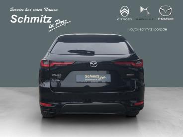 SPOTICAR Mazda Cx-60 Homura Coso Hud Navi Memory Sitze Klimasitze Led A Gebraucht - Suv Diesel  - Köln - 1201102467_3