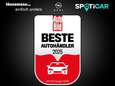 SPOTICAR Opel Combo Cargo Edition Cdti Automatik+ruckfahrkamera+navi+schiebe Gebraucht -  Diesel Grau - Coesfeld - 1201261853_4