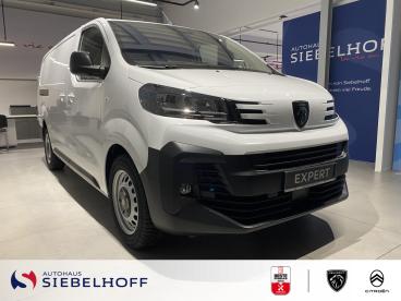 SPOTICAR Peugeot Expert Expert Gebraucht -  Diesel Weiß - Augsburg - 1201258315_4