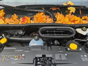 SPOTICAR Renault Master Iv Kasten Hochraum 3,5t L2h2 150 Blue Dci Extra Gebraucht - Nutzfahrzeug Diesel  - Borken - 1201197562_5