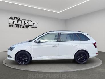 SPOTICAR Skoda Fabia Clever Best Of 1.0 Tsi ,navi,panodach,led Gebraucht - Kleinwagen Benzin Weiß - Neustadt In Sachsen - 1201161329_2