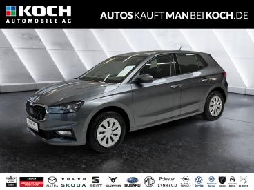 SPOTICAR Skoda Fabia 1.0 Tsi Dsg Selection Winter Led App Pdc Mfl Fabia Gebraucht - Kleinwagen Benzin  - Berlin - 1201222140_1