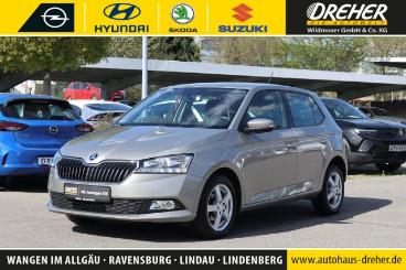 SPOTICAR Skoda Fabia 1.0 Tsi Ambition Klima/lm/kamera/pdc Bc Gebraucht - Kleinwagen Benzin Beige - Wangen Im Allgäu - 1201269507_1