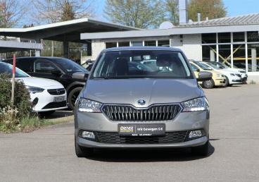 SPOTICAR Skoda Fabia 1.0 Tsi Ambition Klima/lm/kamera/pdc Bc Gebraucht - Kleinwagen Benzin Beige - Wangen Im Allgäu - 1201269507_2