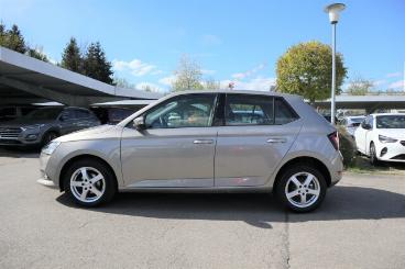 SPOTICAR Skoda Fabia 1.0 Tsi Ambition Klima/lm/kamera/pdc Bc Gebraucht - Kleinwagen Benzin Beige - Wangen Im Allgäu - 1201269507_4