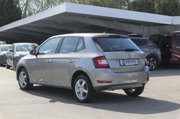 SPOTICAR Skoda Fabia 1.0 Tsi Ambition Klima/lm/kamera/pdc Bc Gebraucht - Kleinwagen Benzin Beige - Wangen Im Allgäu - 1201269507_5