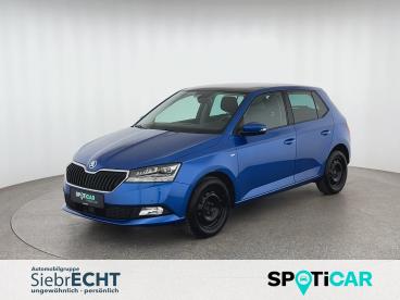 SPOTICAR Skoda Fabia Drive 125 Best Of 1.0 Tsi*pdc*shz*navi*uvm Gebraucht - Kleinwagen Benzin Blau - Einbeck - 1201270690_1