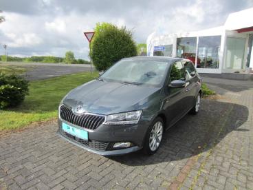 SPOTICAR Skoda Fabia Soleil Gebraucht - Kleinwagen Benzin Grau - Mammelzen - 1201286956_1