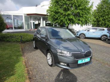 SPOTICAR Skoda Fabia Soleil Gebraucht - Kleinwagen Benzin Grau - Mammelzen - 1201286956_2