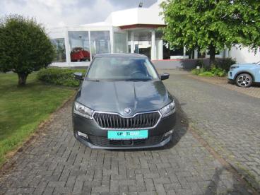 SPOTICAR Skoda Fabia Soleil Gebraucht - Kleinwagen Benzin Grau - Mammelzen - 1201286956_3