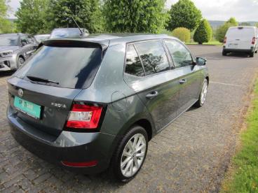 SPOTICAR Skoda Fabia Soleil Gebraucht - Kleinwagen Benzin Grau - Mammelzen - 1201286956_5