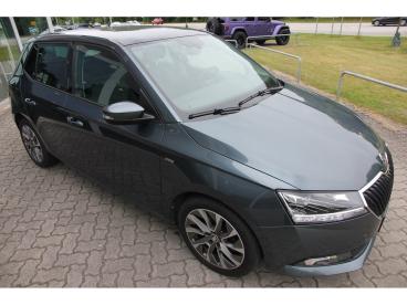 SPOTICAR Skoda Fabia Clever Best Of 1.0 Tsi Opf Carplay Acc Gebraucht - Kleinwagen Benzin Grau - Neumünster - 1201297060_3