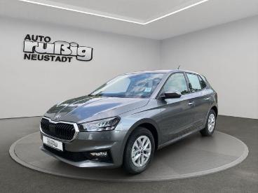 SPOTICAR Skoda Fabia Selection 1.0 Tsi*shz*1h.*dab*bluetooth Gebraucht - Kleinwagen Benzin Grau - Neustadt In Sachsen - 1201325841_1