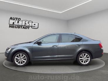 SPOTICAR Skoda Octavia Joy 1.4 16v Tsi,1h,bixenon,17zoll,lm,shz Gebraucht - Kombi Benzin Grau - Neustadt In Sachsen - 1201212845_2