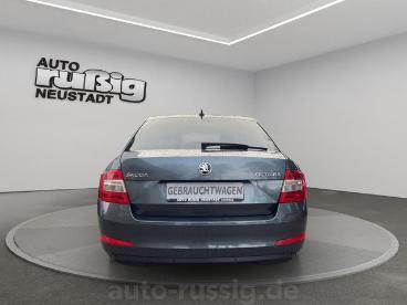 SPOTICAR Skoda Octavia Joy 1.4 16v Tsi,1h,bixenon,17zoll,lm,shz Gebraucht - Kombi Benzin Grau - Neustadt In Sachsen - 1201212845_4