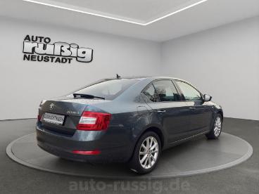 SPOTICAR Skoda Octavia Joy 1.4 16v Tsi,1h,bixenon,17zoll,lm,shz Gebraucht - Kombi Benzin Grau - Neustadt In Sachsen - 1201212845_5