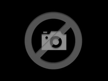 SPOTICAR Fiat 500 Hb 320km 85kw (118cv) Icon Ocasion - Urbano Eléctrico Gris - Terrassa - 1202080317_2