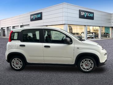 SPOTICAR Fiat Panda Hybrid 1.0 51kw+pack Comfort Plus - Ocasion - Urbano Gasolina Blanco - Castellon - 1202109526_4
