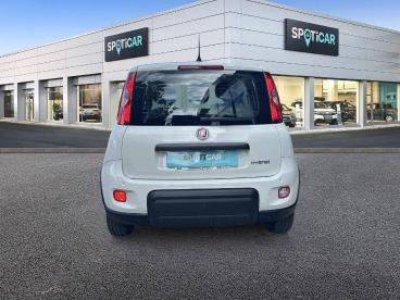 SPOTICAR Fiat Panda Hybrid 1.0 51kw+pack Comfort Plus - Ocasion - Urbano Gasolina Blanco - Castellon - 1202112294_5