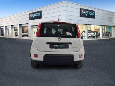 SPOTICAR Fiat Panda Hybrid 1.0 Gse 51kw (70cv) City Life Ocasion - Urbano Gasolina Blanco - Malaga - 1202115928_4