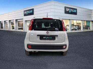 SPOTICAR Fiat Panda 1.2  69cv Eu6 Lounge Ocasion - Urbano Gasolina Blanco - Malaga - 1202118397_4